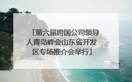 第六届跨国公司领导人青岛峰会山东省开发区专场推介会举行