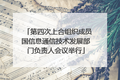 第四次上合组织成员国信息通信技术发展部门负责人会议举行