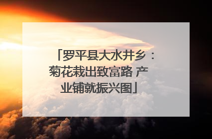 罗平县大水井乡：菊花栽出致富路 产业铺就振兴图