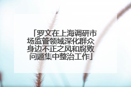 罗文在上海调研市场监管领域深化群众身边不正之风和腐败问题集中整治工作
