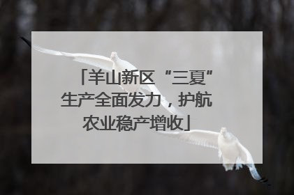 羊山新区“三夏”生产全面发力，护航农业稳产增收