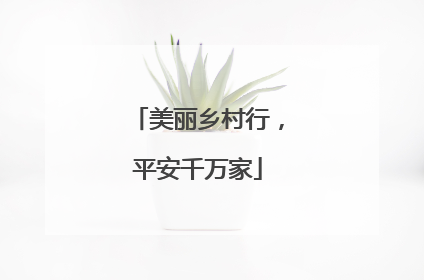 美丽乡村行，平安千万家