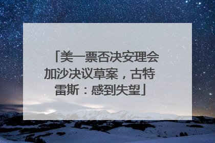 美一票否决安理会加沙决议草案，古特雷斯：感到失望