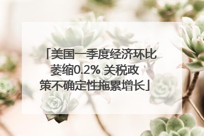 美国一季度经济环比萎缩0.2% 关税政策不确定性拖累增长