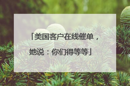 美国客户在线催单，她说：你们得等等
