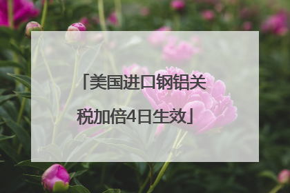 美国进口钢铝关税加倍4日生效