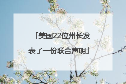美国22位州长发表了一份联合声明