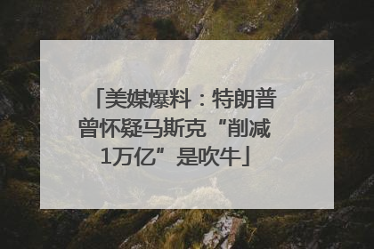 美媒爆料：特朗普曾怀疑马斯克“削减1万亿”是吹牛