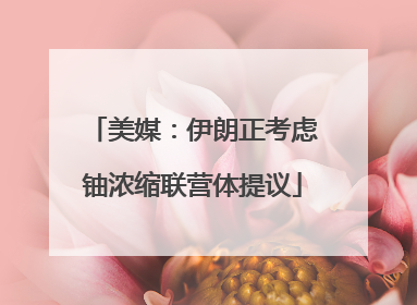 美媒：伊朗正考虑铀浓缩联营体提议