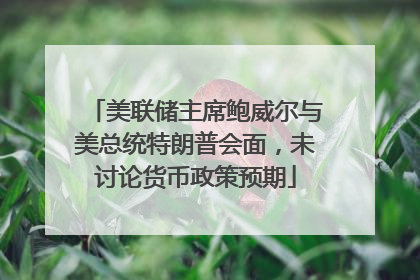美联储主席鲍威尔与美总统特朗普会面，未讨论货币政策预期