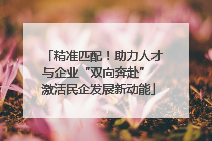 精准匹配！助力人才与企业“双向奔赴” 激活民企发展新动能
