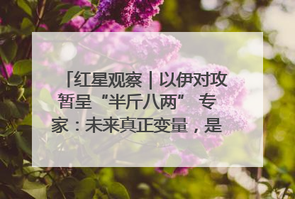 红星观察｜以伊对攻暂呈“半斤八两” 专家：未来真正变量，是美国是否进一步介入