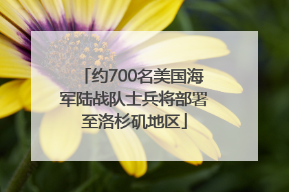约700名美国海军陆战队士兵将部署至洛杉矶地区