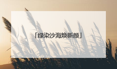 绿染沙海焕新颜