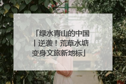 绿水青山的中国丨逆袭！荒草水塘变身文旅新地标