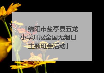 绵阳市盐亭县五龙小学开展全国无烟日主题班会活动