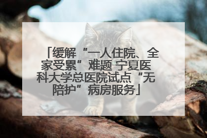 缓解“一人住院、全家受累”难题 宁夏医科大学总医院试点“无陪护”病房服务