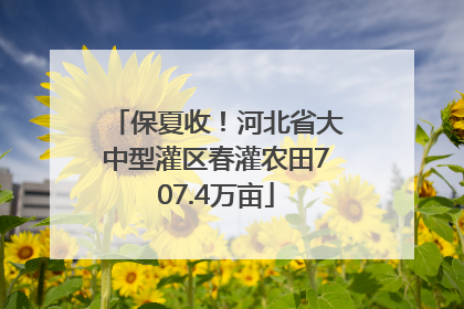 保夏收！河北省大中型灌区春灌农田707.4万亩