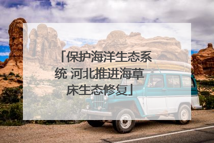 保护海洋生态系统 河北推进海草床生态修复