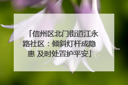 信州区北门街道江永路社区：倾斜灯杆成隐患 及时处置护平安