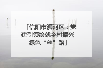 信阳市浉河区：党建引领绘就乡村振兴绿色“丝”路