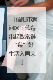 信阳市浉河区：蓝莓串起致富链 “莓”好生活入画来