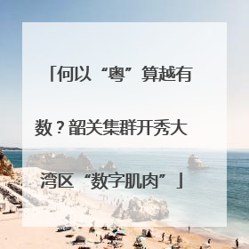 何以“粤”算越有数？韶关集群开秀大湾区“数字肌肉”