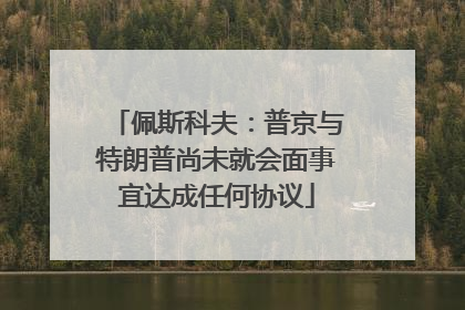 佩斯科夫：普京与特朗普尚未就会面事宜达成任何协议