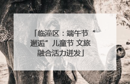临潼区：端午节“邂逅”儿童节 文旅融合活力迸发