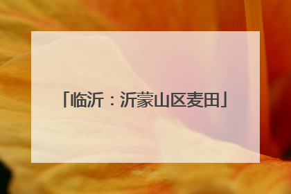 临沂：沂蒙山区麦田