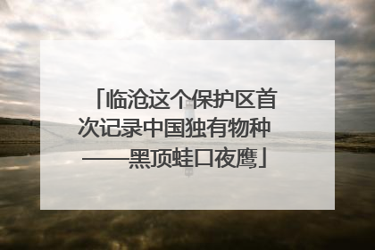 临沧这个保护区首次记录中国独有物种——黑顶蛙口夜鹰