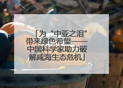 为“中亚之泪”带来绿色希望——中国科学家助力破解咸海生态危机