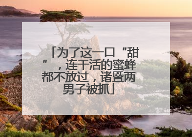 为了这一口“甜”，连干活的蜜蜂都不放过，诸暨两男子被抓