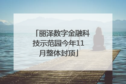 丽泽数字金融科技示范园今年11月整体封顶