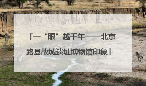 一“眼”越千年——北京路县故城遗址博物馆印象