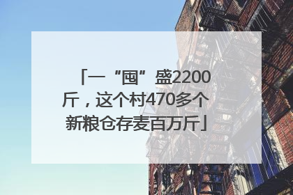 一“囤”盛2200斤，这个村470多个新粮仓存麦百万斤