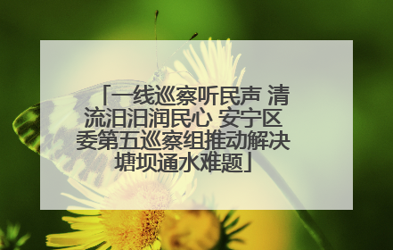 一线巡察听民声 清流汨汨润民心 安宁区委第五巡察组推动解决塘坝通水难题
