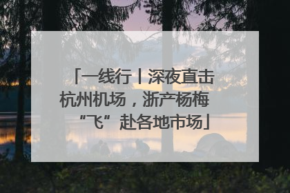 一线行丨深夜直击杭州机场，浙产杨梅“飞”赴各地市场