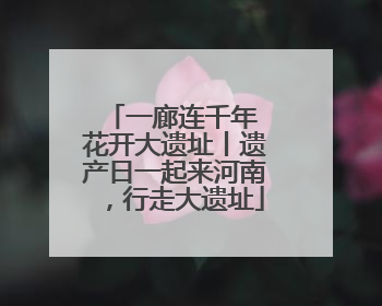 一廊连千年 花开大遗址丨遗产日一起来河南，行走大遗址