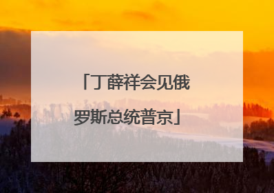 丁薛祥会见俄罗斯总统普京
