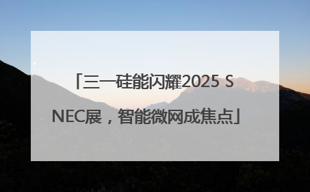 三一硅能闪耀2025 SNEC展，智能微网成焦点