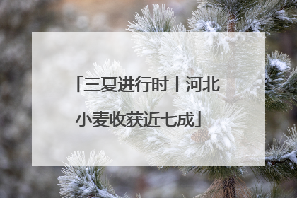 三夏进行时丨河北小麦收获近七成