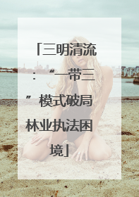 三明清流：“一带三”模式破局林业执法困境