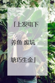 上发电下养鱼 废坑塘巧生金