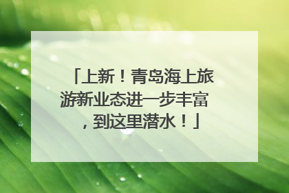 上新！青岛海上旅游新业态进一步丰富，到这里潜水！