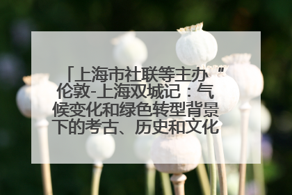 上海市社联等主办“伦敦-上海双城记：气候变化和绿色转型背景下的考古、历史和文化遗产”学术对话