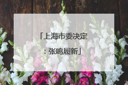 上海市委决定：张鸣履新
