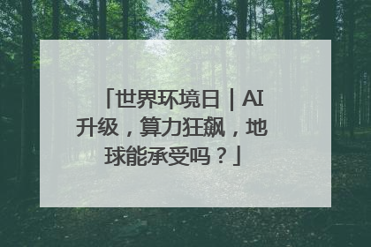 世界环境日｜AI升级，算力狂飙，地球能承受吗？