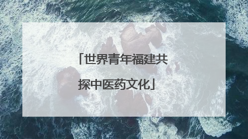 世界青年福建共探中医药文化