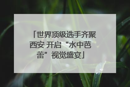 世界顶级选手齐聚西安 开启“水中芭蕾”视觉盛宴
